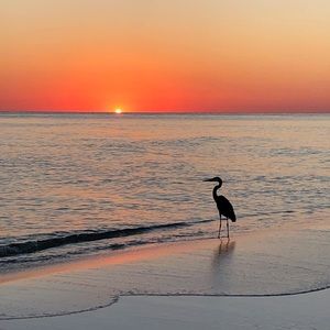 Meet your Posher, Sonja